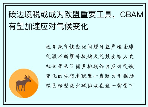 碳边境税或成为欧盟重要工具，CBAM有望加速应对气候变化